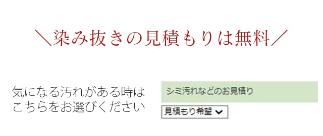 �������ܴ���SALE��10%OFF������̾������ ��ʪ ���꡼�˥� �� ť�Ϥ� ���� ����ʪ���Τޤ޿����� �ɥ饤���꡼�˥󥰤� ��������ˤ⶯�� ���� �� ��̵�� ˬ���� ��µ αµ sin5931-shitate ��ʪ ����