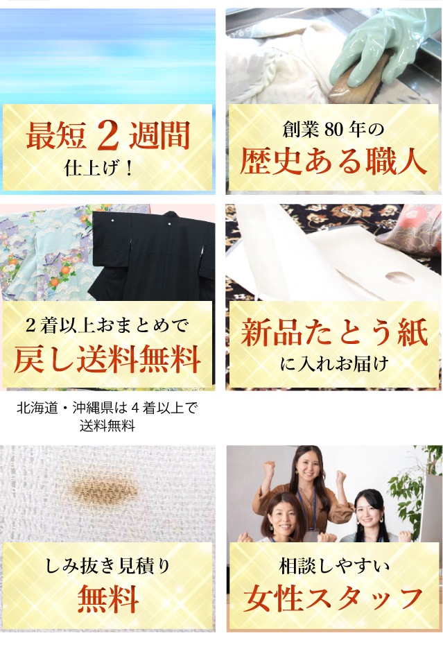 ��SALE��1/13 15������10%OFF����ʪ3�����å� ���꡼�˥� ������ ��ʪ���ӡ�Ĺ��� sin4009 ��ʪ ����