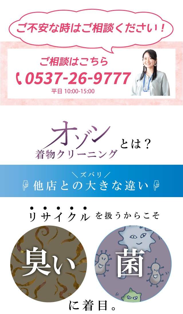 ��SALE��1/13 15������10%OFF����ʪ3�����å� ���꡼�˥� ������ ��ʪ���ӡ�Ĺ��� sin4009 ��ʪ ����