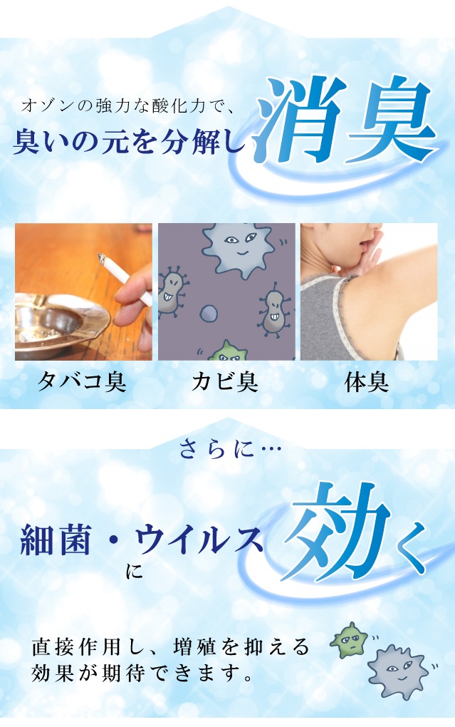 ��SALE��1/13 15������10%OFF����ʪ3�����å� ���꡼�˥� ������ ��ʪ���ӡ�Ĺ��� sin4009 ��ʪ ����