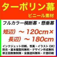 120��180cm �����ݥ�� �ե륫�顼�����롦������