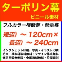 120��240cm �����ݥ�� �ե륫�顼�����롦������