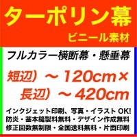 120��420cm �����ݥ�� �ե륫�顼�����롦������