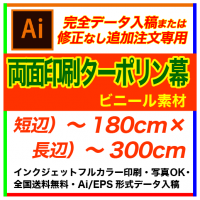 �ڴ����ǡ������ơ�180��300cm ξ�̥����ݥ�� �ե륫�顼�����롦������