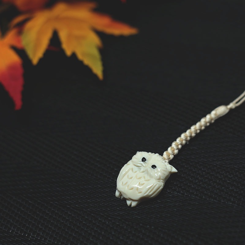 ,Ӿ/ȥå/դ/ʪ/ݲĴ,饤󥹥ȡդ/Ĺ:12cm(ȥå״ޤ),դ:3cm/Ϥʤ/縶Ź