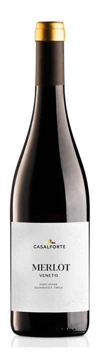 �ꥪ��ɡ�������ե���ơ���������2022