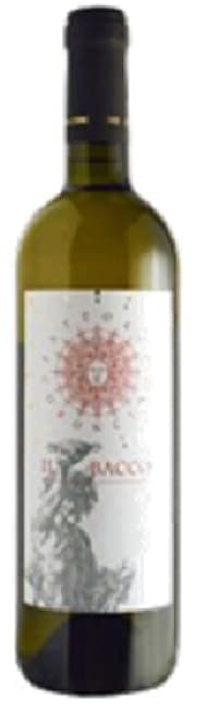 �ե��åȥꥢ ����������Υ��� �Хå� ������ǥ��å��� 