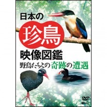 ���ܤ���Ļ�������޴�