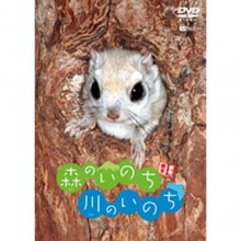森のいのち・川のいのちDVD |趣味・動物・植物|映像と音の友社