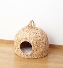 �ڥåȤ����顡��