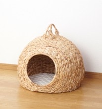 �ڥåȤ����顡��