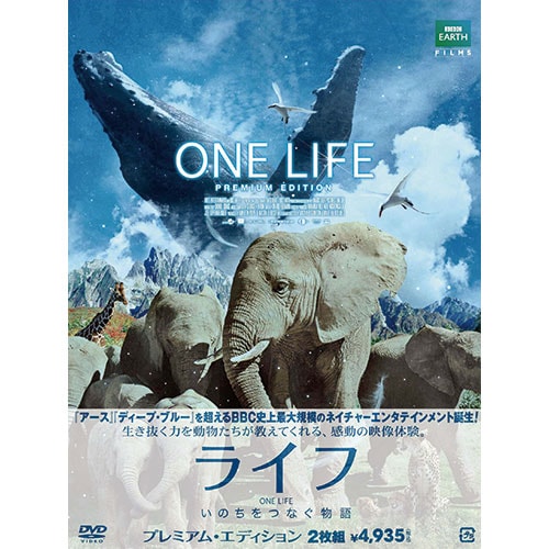 アントキノイノチ スタンダード・エディション DVD 日本映画 main_01_L.jpg