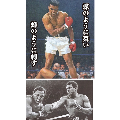 ��ϥ�ɡ����� �������졼�ƥ��� DVD 5����