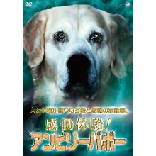 感動体験！ アンビリーバボー|その他映像|映像と音の友社