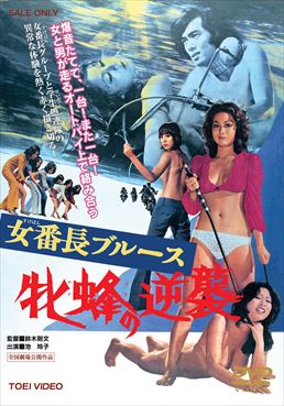 女番長ブルース　牝蜂の逆襲|DVD、映像ソフト|商品から探す