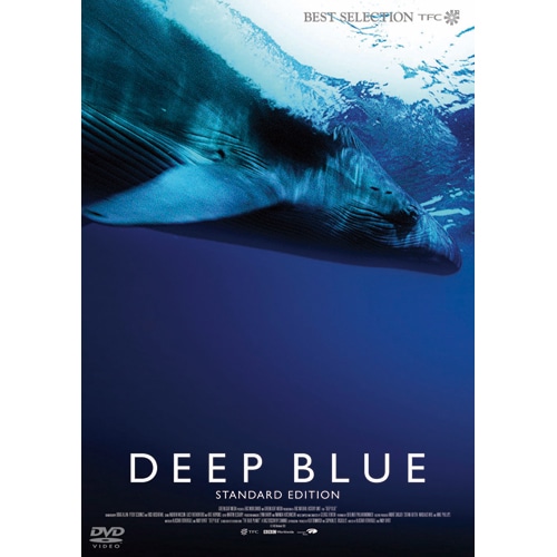 DEEP BLUE ディープブルーオーシャン キヨラ230 新品未使用未開封 ディープ・ブルー スタンダード・エディション : - くみあいショッピング