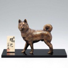 ��Ƽ�ֽ�������� ��ڥݥ���ȣ���Ը����