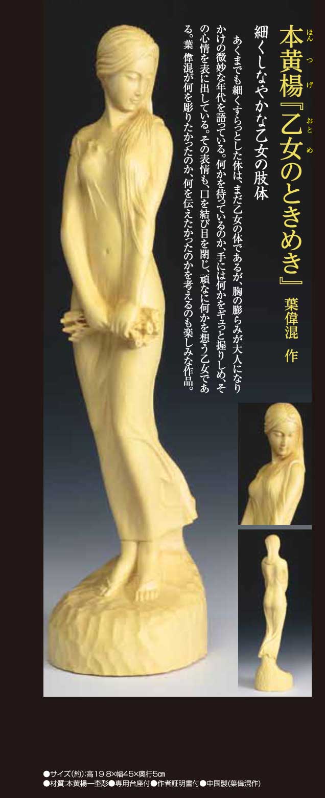 本黄楊 『乙女のときめき』 葉偉混 : ホーリ通信 (熟年時代 アートの友