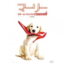マーリー 世界一おバカな犬が教えてくれたこと〈特別編〉DVD|その他映像|映像と音の友社