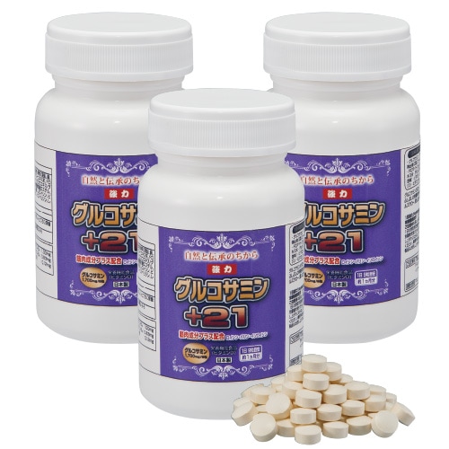 ���ϡ����륳���ߥ��21 3��