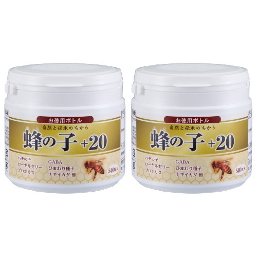 ˪�λҡ�20 �����ѥܥȥ� 2��