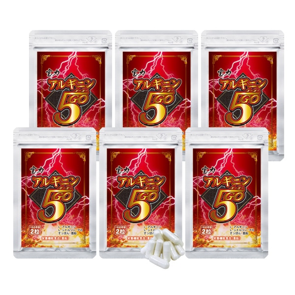 ���ϥ��륮�˥�5GO 6��