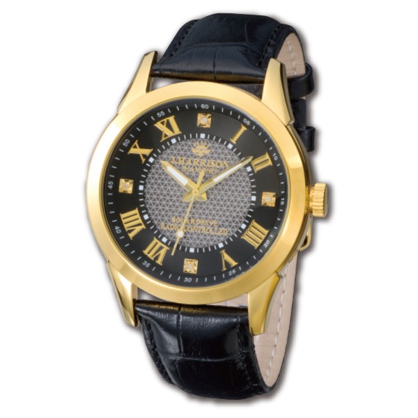 ŷ�������� ���饷�å� �����顼���Ȼ���