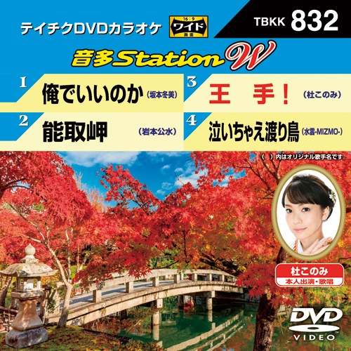 テイチクDVDカラオケ 音多Station 2mvetro テイチクDVDカラオケ音多ステーション 162 ☆新品未開封