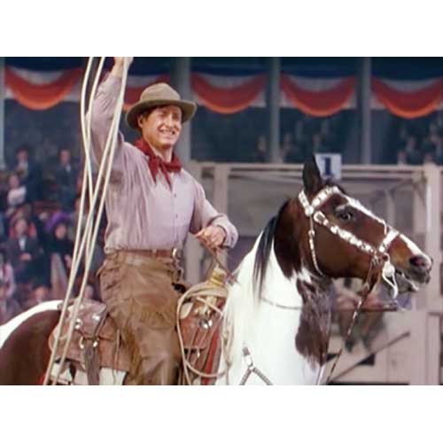 西部劇パーフェクトコレクション 荒野の幌馬車 DVD10枚セット : 映像と