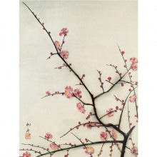 速水御舟『桜』額【ポイント5％還元中】アートの友社 : アートの友社