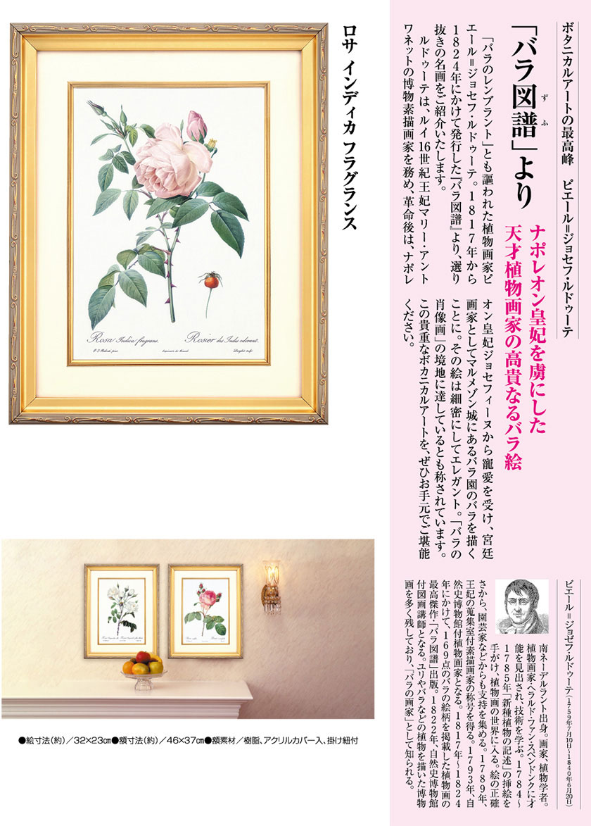 ルドゥーテ バラ図譜 ロサ インディカ フラグランス 壁掛けアート