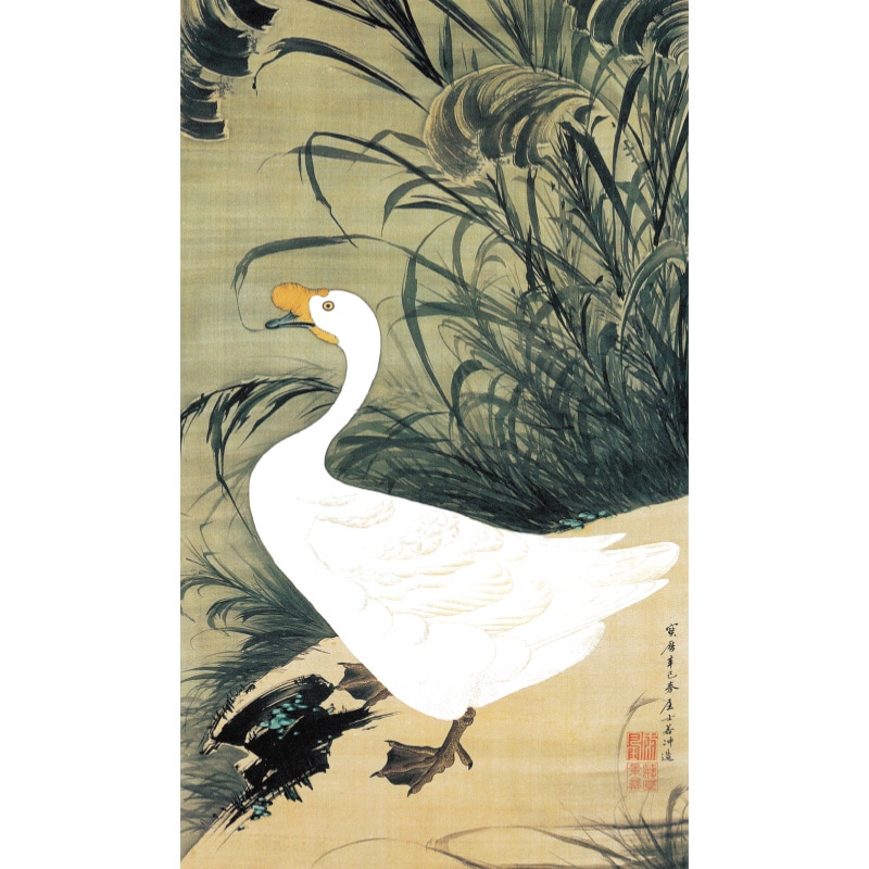 伊藤若冲 動植綵絵 芦鵞図 高級仕様 額 美術品 インテリア 作品 複製画