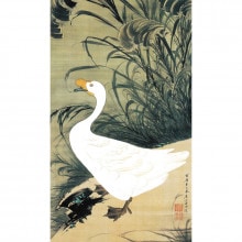 ��ƣ���� ư��彳� ���� ������ �� ������ ����ƥꥢ ���� ʣ����ڥݥ���ȣ���Ը����