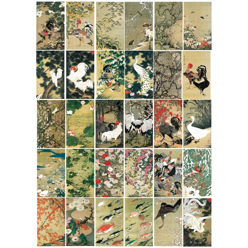 伊藤若冲 動植綵絵 標準仕様 掛軸 全30幅セット 美術 作品 複製画