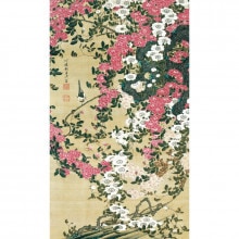 ��ƣ���� ư��彳� �鯾��ٿ� ������ �ݼ� ������ ����ƥꥢ ���� ʣ����