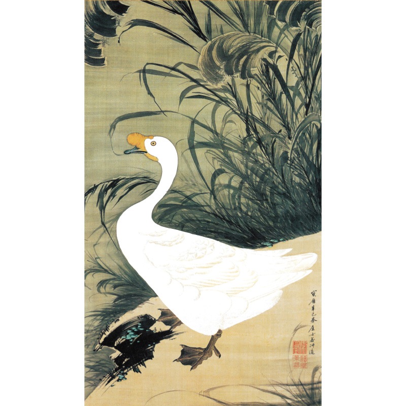 伊藤若冲 動植綵絵 芦鵞図 高級仕様 掛軸 美術品 インテリア 作品 複製