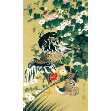 ��ƣ���� ư��彳� �����зܿ� ������ �ݼ� ������ ����ƥꥢ ���� ʣ����