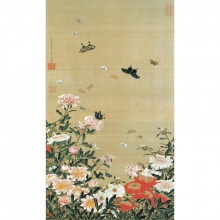 ��ƣ���� ư��彳� ������ĳ�� ������ �ݼ� ������ ����ƥꥢ ���� ʣ����