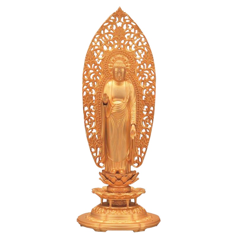 ذǡʩ  ʩաڥݥȣԸ