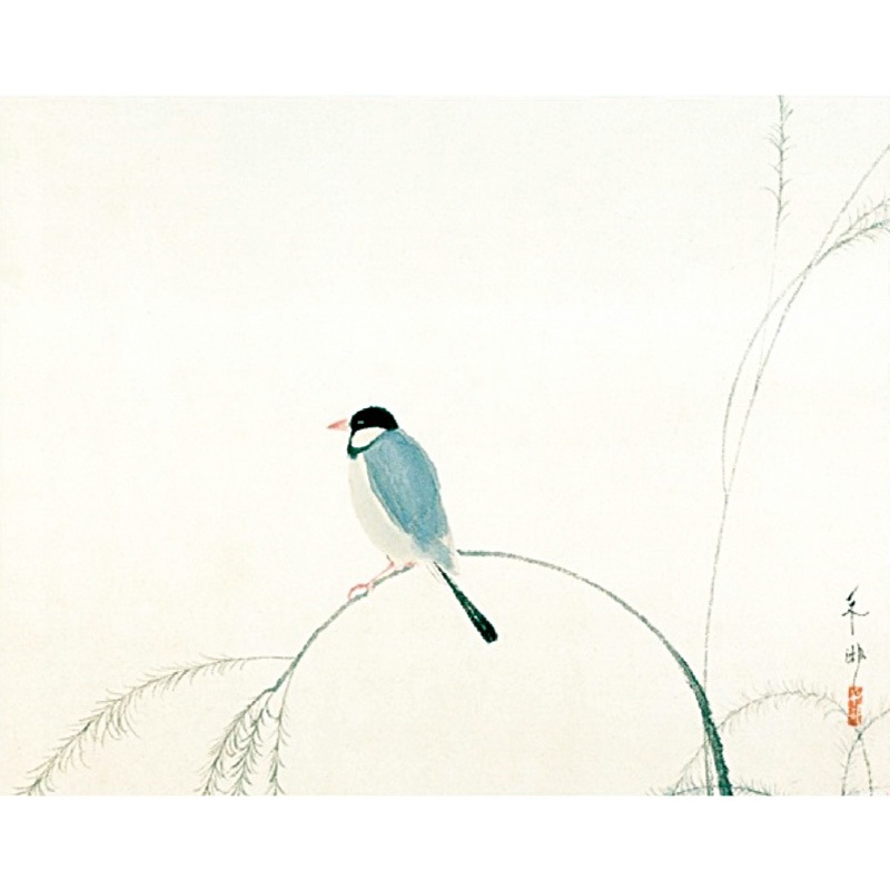 日本画 文鳥と白椿 額装済