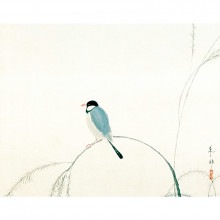 速水御舟『文鳥』標準額|複製 掛軸 横山大観・伊藤若冲など日本画をご紹介|アートの友社
