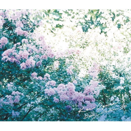 小椋佳全集　5枚組CD＋特典CD 音楽のある風景 公式通販サイト》：小椋佳全集(ラッピング無