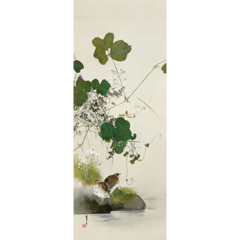 渡辺省亭『十二ケ月花鳥画』8月 秋草に鶉 額【ポイント5％還元