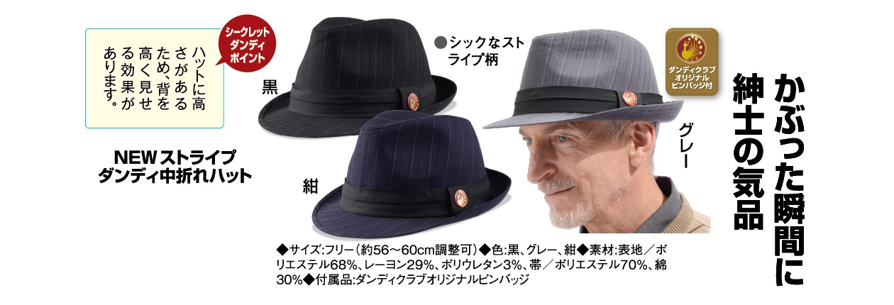 NEW ストライプ ダンディ中折れハット : NEW ストライプ ダンディ中