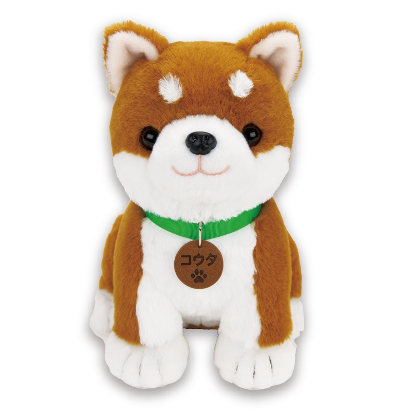 しばいぬ コウタ【ポイント5％還元中】 : ホーリ通信 (熟年時代