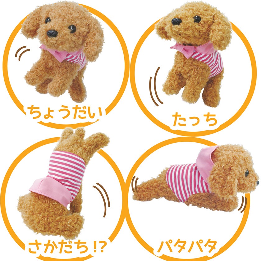 よびかけアクション 愛犬モカちゃん dwos6rj よびかけアクション愛犬モカちゃん (犬,ワンちゃん,リアルペット