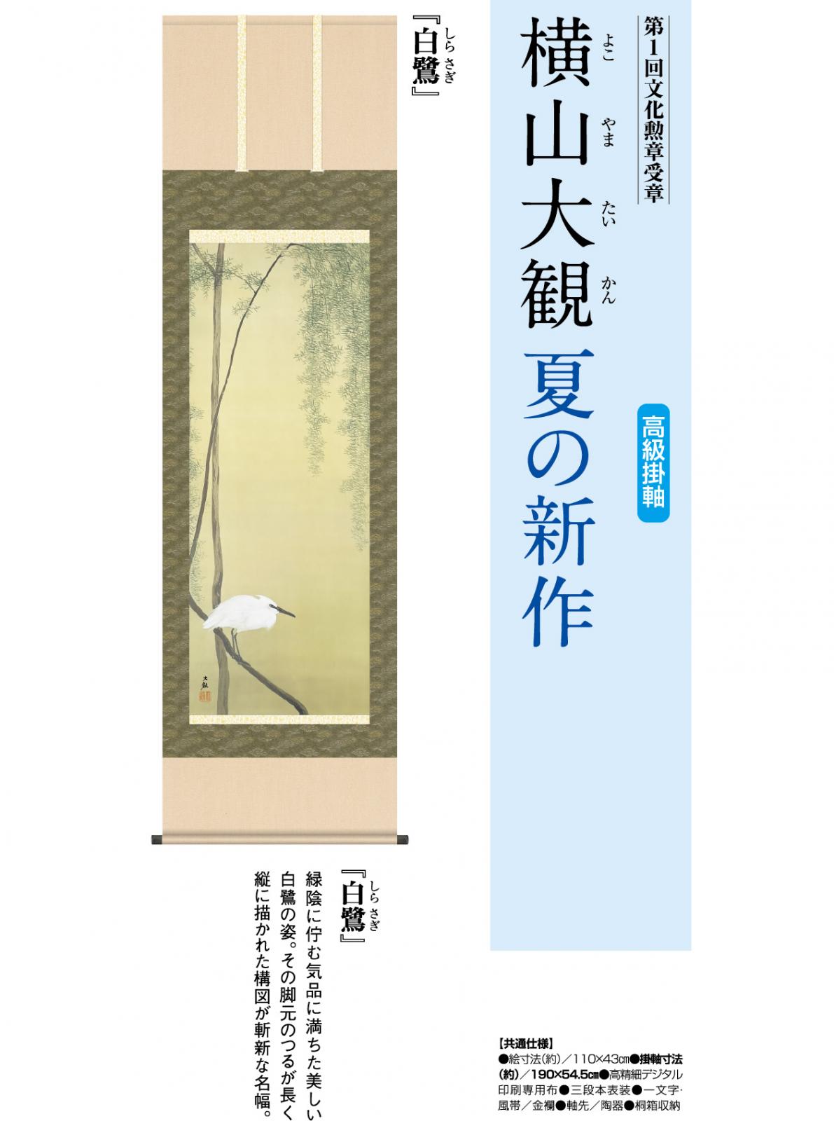 横山大観 作品 白鷺 高級掛軸 : アートの友社 横山大観『白鷺』高級