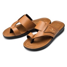 �»Υ٥�ϡ�������� �ڥݥ����5%�Ը���� - ����ǥ������