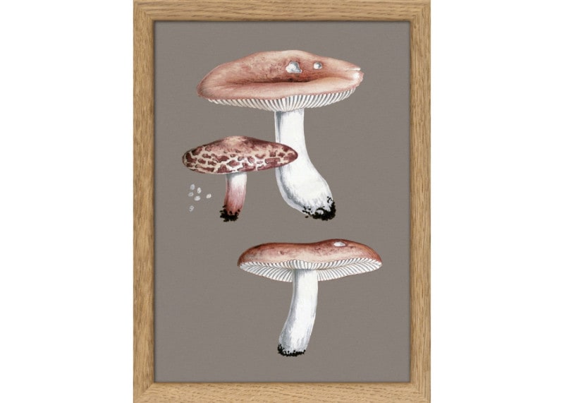 Small Fungi. Mini Print／The Dybdahl co.