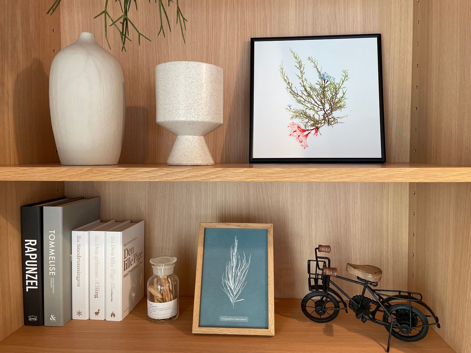 SINGLE ALGAE GREEN WITH FLOWER／The Dybdahl co.　